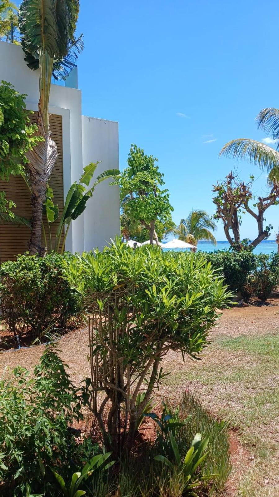 Cap Ouest Luxury Beachfront Flic-en-Flacq Eksteriør billede